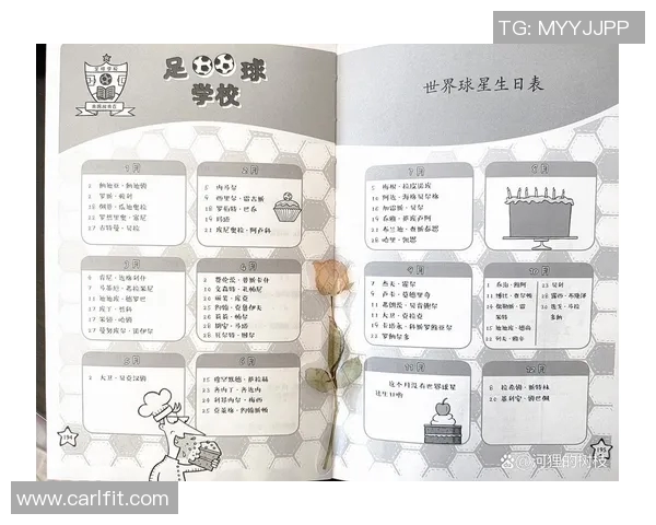 足球明星与足球名将的传奇故事与成就解析